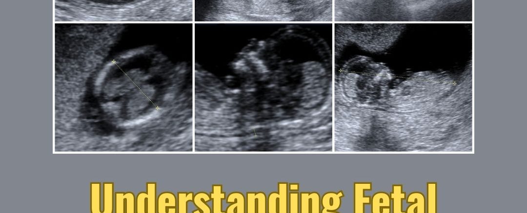 Understanding Fetal Medicine Services : Benefits and Importance