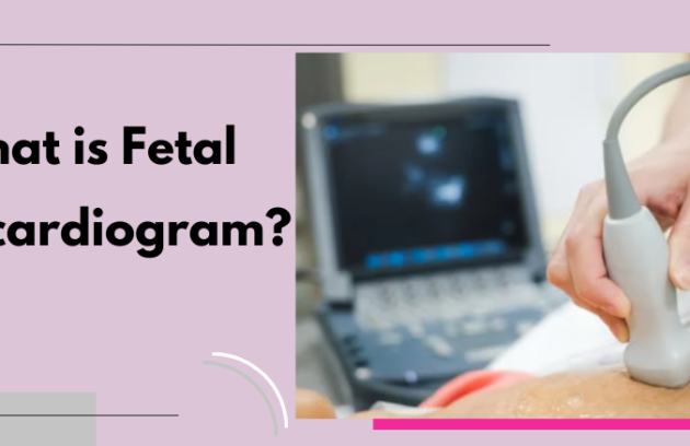 Fetal Echocardiogram