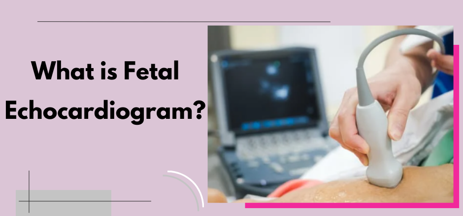 Fetal Echocardiogram